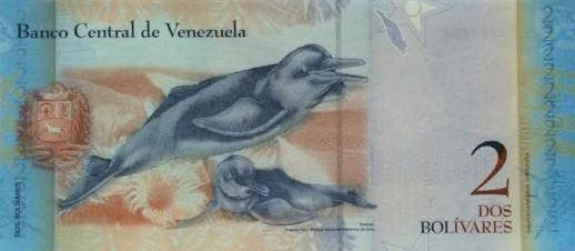 venezuela7.1
